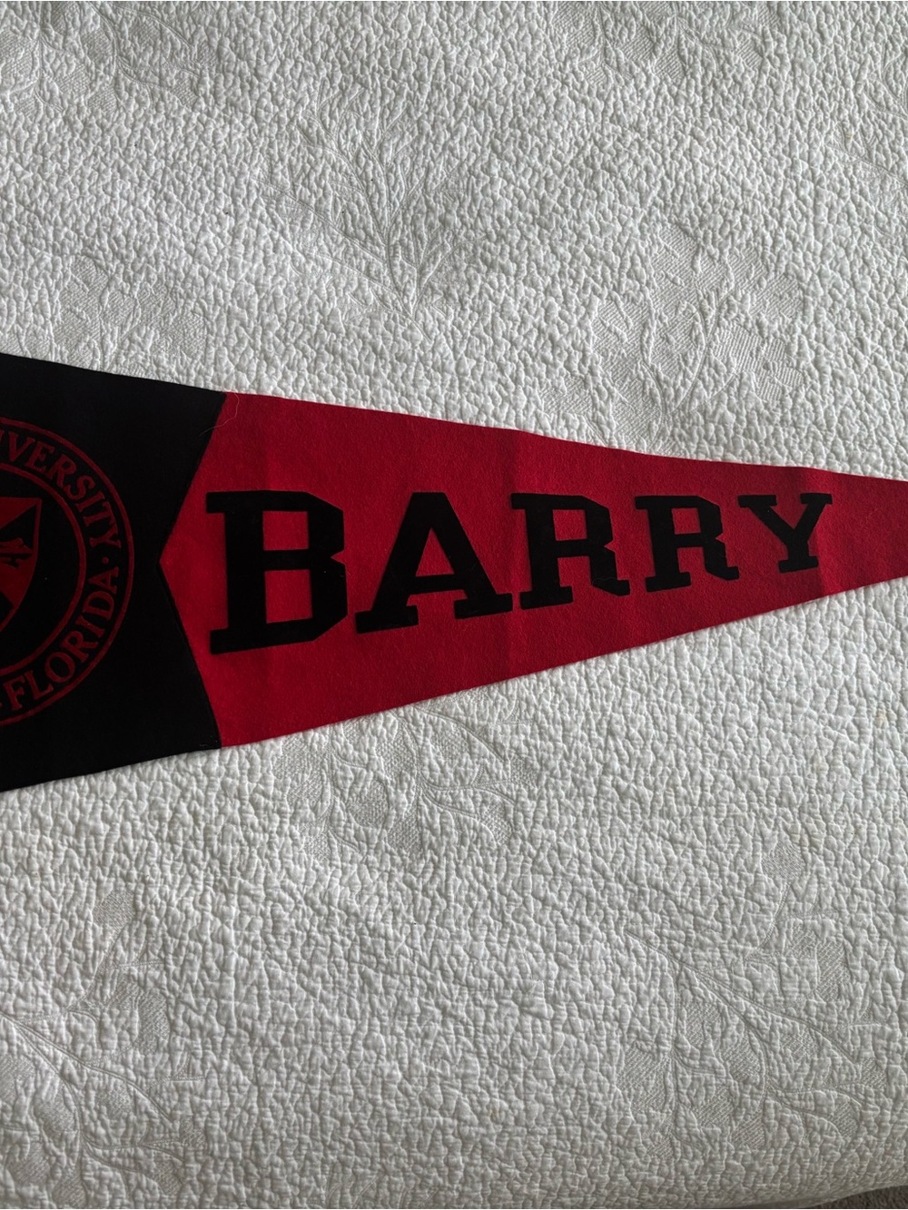 Vintage 1990’s Barry University Red and Black Decorative Pennant
